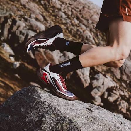 Salomon shoes