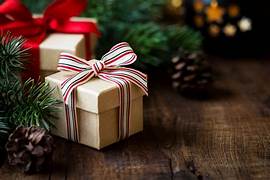 Christmas Gift Guide - Trek, Trail & Fish NZ