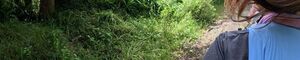 zWomens Running Shoes - Trek, Trail & Fish NZ