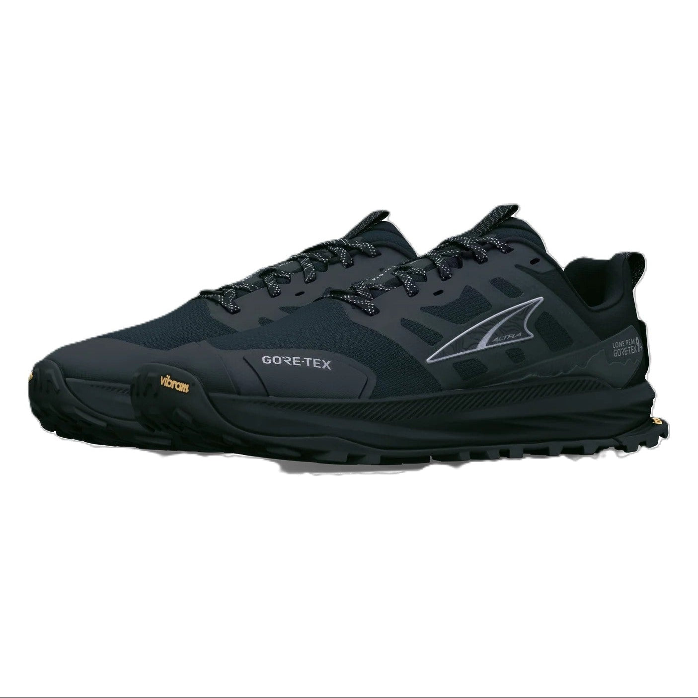 Black running shoe with GORE-TEX branding on a white background