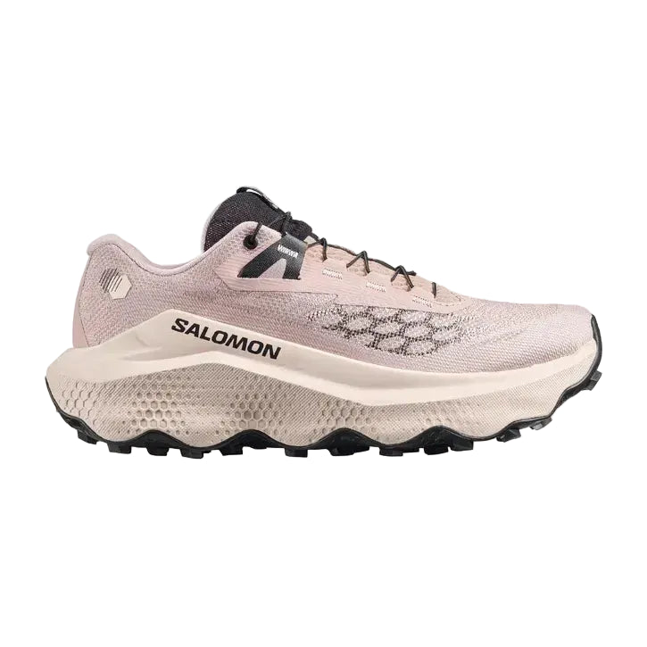 Salomon trail running shoe on a white background