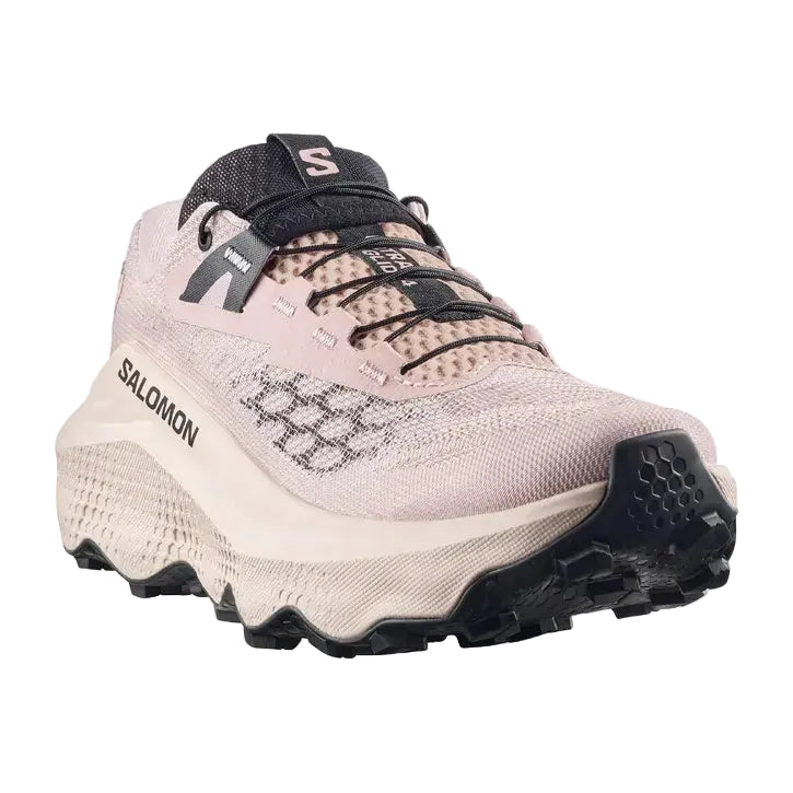 Salomon trail running shoe on a white background