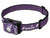 Fenix headlamp HL12R V2.0 - Headlamp - Trek, Trail & Fish NZ