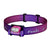 Purple and pink Fenix headlamp on a white background