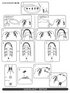 Salomon Quicklace Kit - Shoe Laces - Trek, Trail & Fish NZ
